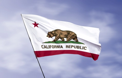 Wang v. Peletta (2025) 112 Cal.App.5th 478